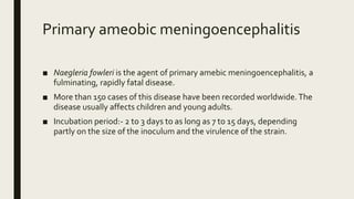 Primary ameobic meningoencephalitis
■ Naegleria fowleri is the agent of primary amebic meningoencephalitis, a
fulminating, rapidly fatal disease.
■ More than 150 cases of this disease have been recorded worldwide.The
disease usually affects children and young adults.
■ Incubation period:- 2 to 3 days to as long as 7 to 15 days, depending
partly on the size of the inoculum and the virulence of the strain.
 