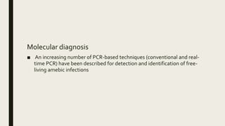 Molecular diagnosis
■ An increasing number of PCR-based techniques (conventional and real-
time PCR) have been described for detection and identification of free-
living amebic infections
 