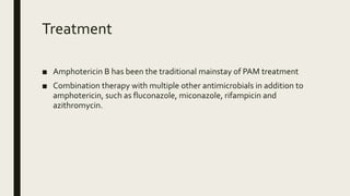 Treatment
■ Amphotericin B has been the traditional mainstay of PAM treatment
■ Combination therapy with multiple other antimicrobials in addition to
amphotericin, such as fluconazole, miconazole, rifampicin and
azithromycin.
 