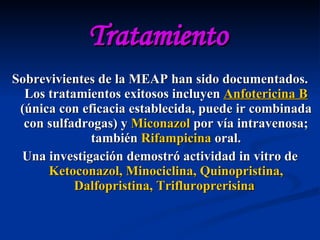 Tratamiento Sobrevivientes de la MEAP han sido documentados. Los tratamientos exitosos incluyen  Anfotericina B  (única con eficacia establecida, puede ir combinada con sulfadrogas) y  Miconazol  por vía intravenosa; también  Rifampicina  oral. Una investigación demostró actividad in vitro de  Ketoconazol, Minociclina, Quinopristina, Dalfopristina, Trifluroprerisina   