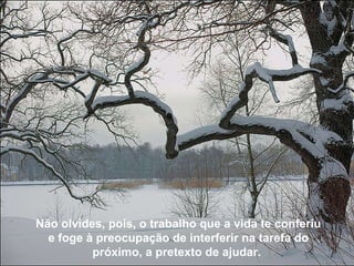 Não olvides, pois, o trabalho que o Céu te conferiu e foge à preocupação de interferir na tarefa do próximo, a pretexto de ajudar.   Não olvides, pois, o trabalho que a vida te conferiu e foge à preocupação de interferir na tarefa do próximo, a pretexto de ajudar.   