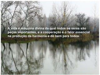 A vida é máquina divina da qual todos os seres são peças importantes, e a cooperação é o fator essencial na produção da harmonia e do bem para todos.  A vida é máquina divina da qual todos os seres são peças importantes, e a cooperação é o fator essencial na produção da harmonia e do bem para todos.  
