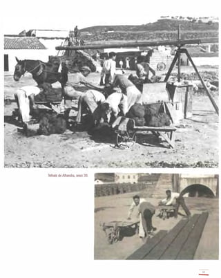 Telhais de Alhandra, anos 30.
01
-
 