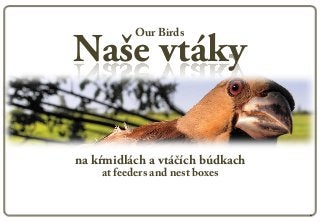 Our Birds

Naše vtáky

na kŕmidlách a vtáčích búdkach
    at feeders and nest boxes
 