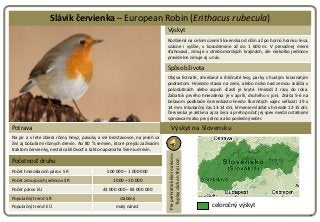 Slávik červienka – European Robin (Erithacus rubecula)
                                                                   ...