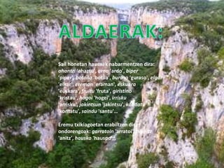 Sail honetan hauexek nabarmentzen dira:
ahantzi 'ahaztu', arno 'ardo', biper
'piper', botoila 'botila', buraso 'guraso', elgar
'elkar', ereman 'eraman', eskuara
'euskara', fruitu 'fruta', giristino
'kristau', hogoi 'hogei', irrisku
'arrisku', jakintsun 'jakintsu', kondatu
'kontatu', saindu 'santu'…

Eremu txikiagoetan erabiltzen dira
ondorengoak: garratoin 'arratoi', hainitz
'anitz', hausko 'hauspo'…
 