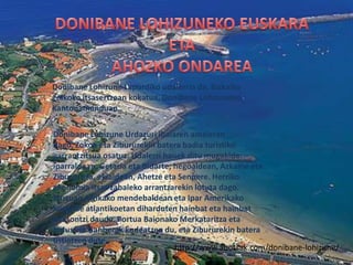 Donibane Lohizune Lapurdiko udalerria da, Bizkaiko
golkoko itsasertzean kokatua, Donibane Lohizuneko
Kantonamenduan.

Donibane Lohizune Urdazuri ibaiaren amaieran
dago, Zokoa eta Zibururekin batera badia turistiko
garrantzitsua osatuz. Udalerri hauek ditu mugakide:
iparraldean, Getaria eta Bidarte; hegoaldean, Azkaine eta
Ziburu; eta, ekialdean, Ahetze eta Senpere. Herriko
ekonomia itsas zabaleko arrantzarekin lotuta dago.
Portuan Afrikako mendebaldean eta Ipar Amerikako
kostalde atlantikoetan diharduten hainbat eta hainbat
itsasontzi daude. Portua Baionako Merkataritza eta
Industria Ganberak kudeatzen du, eta Zibururekin batera
ustiatzen dute.
                                  http://www.ahotsak.com/donibane-lohizune/
 