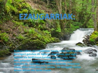 Euskara nafarra eta erdialdekoa bezala, nafar-lapurtarra ere
bereizgarri gutxikoa da. Egiturari dagokionez, gaur egun
batasun eta berdintasun handiko agertzen zaigu, baina
hori, gehienbat, azken hamarkadotako bilakaeraren
ondorioa da. Lapurdiko eta Nafarroa Behereko euskararen
arteko aldea txikia dela esan daiteke, eta horregatik multzo
berean biltzen ditu Koldo Zuazok.
 