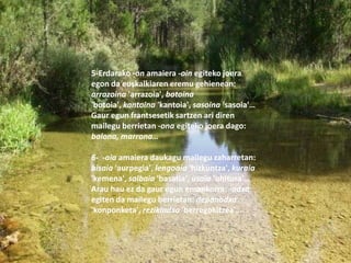 5-Erdarako -on amaiera -oin egiteko joera
egon da euskalkiaren eremu gehienean:
arrazoina 'arrazoia', botoina
'botoia', kantoina 'kantoia', sasoina 'sasoia'…
Gaur egun frantsesetik sartzen ari diren
mailegu berrietan -ona egiteko joera dago:
balona, marrona…

6- -aia amaiera daukagu mailegu zaharretan:
bisaia 'aurpegia', lengoaia 'hizkuntza', kuraia
'kemena', salbaia 'basatia', usaia 'ohitura'…
Arau hau ez da gaur egun emankorra; -adxa
egiten da mailegu berrietan: depanadxa
'konponketa', rezikladxa 'berregokitzea'…
 