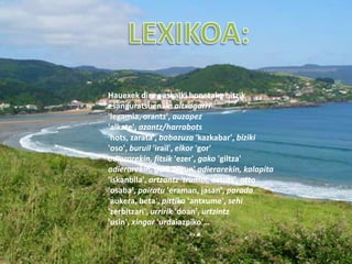 Hauexek dira euskalki honetako hitzik
esanguratsuenak: altxagarri
'legamia, orantz', auzapez
'alkate', azantz/harrabots
'hots, zarata', babazuza 'kazkabar', biziki
'oso', buruil 'irail', elkor 'gor'
adierarekin, fitsik 'ezer', gako 'giltza'
adierarekin, guri 'bigun' adierarekin, kalapita
'iskanbila', ortzantz 'trumoi, ostots', otto
'osaba', pairatu 'eraman, jasan', parada
'aukera, beta', pittika 'antxume', sehi
'zerbitzari', urririk 'doan', urtzintz
'usin', xingar 'urdaiazpiko'…
 