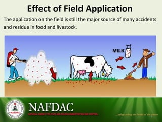 Effect of Field Application
The application on the field is still the major source of many accidents
and residue in food and livestock.
8
 
