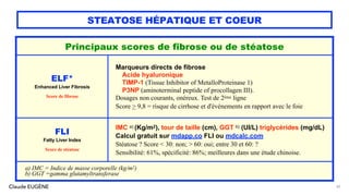 Claude EUGÈNE
STEATOSE HÉPATIQUE ET COEUR
42
Principaux scores de fibrose ou de stéatose
ELF*
Enhanced Liver Fibrosis
Score de fibrose
Marqueurs directs de fibrose
Acide hyaluronique
TIMP-1 (Tissue Inhibitor of MetalloProteinase 1)
P3NP (aminoterminal peptide of procollagen III).
Dosages non courants, onéreux. Test de 2ème ligne
Score > 9,8 = risque de cirrhose et d'événements en rapport avec le foie
FLI
Fatty Liver Index
Score de stéatose
IMC a) (Kg/m2), tour de taille (cm), GGT b) (UI/L) triglycérides (mg/dL)
Calcul gratuit sur mdapp.co FLI ou mdcalc.com
Stéatose ? Score < 30: non; > 60: oui; entre 30 et 60: ?
Sensibilité: 61%, spécificité: 86%; meilleures dans une étude chinoise.
a) IMC = Indice de masse corporelle (kg/m2)
b) GGT =gamma glutamyltransferase
 
