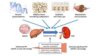 Non alcoholic Fatty Liver disease .pptx