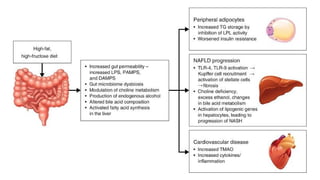 Non alcoholic Fatty Liver disease .pptx