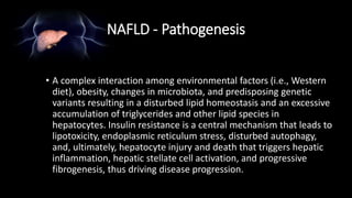 NAFLD - Pathogenesis
• A complex interaction among environmental factors (i.e., Western
diet), obesity, changes in microbiota, and predisposing genetic
variants resulting in a disturbed lipid homeostasis and an excessive
accumulation of triglycerides and other lipid species in
hepatocytes. Insulin resistance is a central mechanism that leads to
lipotoxicity, endoplasmic reticulum stress, disturbed autophagy,
and, ultimately, hepatocyte injury and death that triggers hepatic
inflammation, hepatic stellate cell activation, and progressive
fibrogenesis, thus driving disease progression.
 