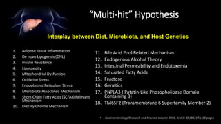 1. Adipose tissue inflammation
2. De novo Lipogensis (DNL)
3. Insulin Resistance
4. Lipotoxicity
5. Mitochondrial Dysfuntion
6. Oxidative Stress
7. Endoplasmic Reticulum Stress
8. Microbiota Associated Mechanism
9. Short-Chain Fatty Acids (SCFAs) Relevant
Mechanism
10. Dietary Choline Mechanism
11. Bile Acid Pool Related Mechanism
12. Endogenous Alcohol Theory
13. Intestinal Permeability and Endotoxemia
14. Saturated Fatty Acids
15. Fructose
16. Genetics
17. PNPLA3 ( Patatin-Like Phosopholipase Domain
Containing 3)
18. TM6SF2 (Transmembrane 6 Superfamily Member 2)
Interplay between Diet, Microbiota, and Host Genetics
• Gastroenterology Research and Practice Volume 2016, Article ID 2862173, 13 pages
“Multi-hit” Hypothesis
 