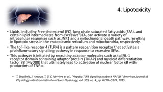4. Lipotoxicity
• T. Sharifnia, J. Antoun, T. G. C. Verriere et al., “Hepatic TLR4 signaling in obese NAFLD,” American Journal of
Physiology—Gastrointestinal and Liver Physiology, vol. 309, no. 4, pp. G270–G278, 2015
• Lipids, including Free cholesterol (FC), long chain saturated fatty acids (SFA), and
certain lipid intermediates from excessive SFA, can activate a variety of
intracellular responses such as JNK1 and a mitochondrial death pathway, resulting
in lipotoxic stress in the endoplasmic reticulum and mitochondria, respectively.
• The toll-like receptor 4 (TLR4) is a pattern recognition receptor that activates a
proinflammatory signalling pathway in response to excessive SFAs.
• This pathway is initiated by recruiting adaptor molecules such as toll/IL-1
receptor domain containing adaptor protein (TIRAP) and myeloid differentiation
factor 88 (MyD88) that ultimately lead to activation of nuclear factor κB with
production of TNF-α
 