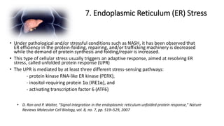 7. Endoplasmic Reticulum (ER) Stress
• D. Ron and P. Walter, “Signal integration in the endoplasmic reticulum unfolded protein response,” Nature
Reviews Molecular Cell Biology, vol. 8, no. 7, pp. 519–529, 2007
• Under pathological and/or stressful conditions such as NASH, it has been observed that
ER efficiency in the protein-folding, repairing, and/or trafficking machinery is decreased
while the demand of protein synthesis and folding/repair is increased.
• This type of cellular stress usually triggers an adaptive response, aimed at resolving ER
stress, called unfolded protein response (UPR)
• The UPR is mediated by at least three different stress-sensing pathways:
- protein kinase RNA-like ER kinase (PERK),
- inositol-requiring protein 1α (IRE1α), and
- activating transcription factor 6 (ATF6)
 