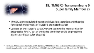 18. TM6SF2 (Transmembrane 6
Super family Member 2)
• G. Musso, M. Cassader, E. Paschetta, and R. Gambino, “TM6SF2 may drive postprandial lipoprotein cholesterol
toxicity away from the vessel walls to the liver in NAFLD,” Journal of Hepatology, vol. 64, no. 4, pp. 979–981, 2016.
• TM6SF2 gene regulated hepatic triglyceride secretion and that the
functional impairment of TM6SF2 promoted NAFLD
• Carriers of the TM6SF2 E167K variant seem to be more at risk for
progressive NASH, but at the same time they could be protected
against cardiovascular diseases
 