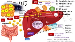 TGTG
TG
TG
TG
TG
HSL
Chylomicrons
FFAs
FFAs
B-oxidation
Lipid droplets in
hepatocytes
Cholesterol
Phospholipids VLDL
DNL
1) Insulin Resistance
2) Mitochondrial
Dysfunction
3) ER Stress
4) Adipose tissue
Dysfunction
Insulin
SREBP-1
IRS-2
FFAs cause
defective
insulin
signaling
M E T A B O L I S M C L I N I C A L A N D E X P E R I M E N T A L 6 5 ( 2 0 1 6 ) 1 0 3 8 – 1 0 4 8
Peroxisome
ROS
Ferramosca A et al . Antioxidants and fatty liver
INFLAMMATION
FIBROSIS
APOPTOSIS
Stellate cells
ER
UPR • Dec protein
synthesis
• Incr Protein
transit and
degradation
JNK INFLAMMATION
APOPTOSIS
Impaired insulin signaling
IL-6
TNF-α
Leptin
 