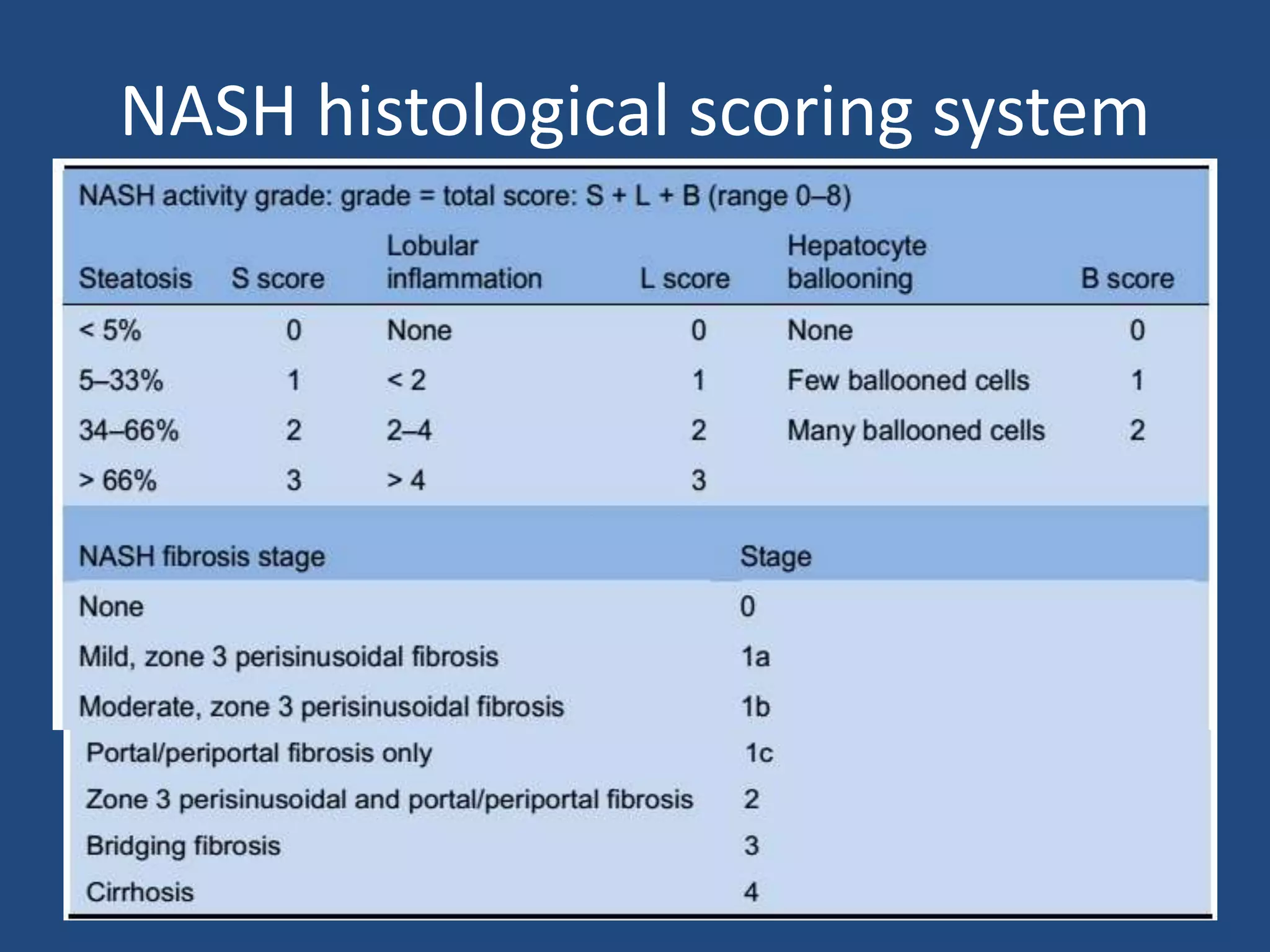 NASH histological scoring system
 