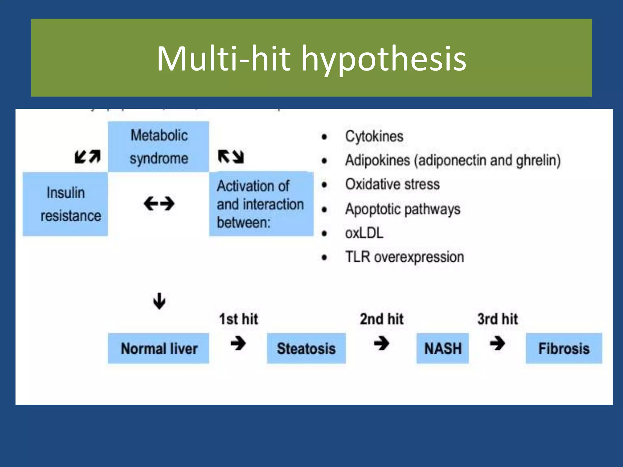 Multi-hit hypothesis
 