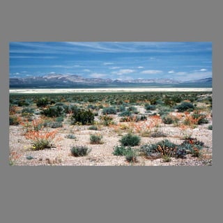 The Nevada Test Site Project:  Finding Treasures in Firsthand Historical Accounts