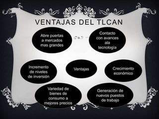 VENTAJAS DEL TLCAN
Ventajas Crecimiento
económico
Variedad de
bienes de
consumo a
mejores precios
Incremento
de niveles
de inversión
Abre puertas
a mercados
mas grandes
Contacto
con avances
ala
tecnología
Generación de
nuevos puestos
de trabajo
 