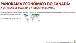 Apresentação elaborada pela Professora FERNANDA BRUM LOPES - Geografia
O conjunto de indústrias canadenses dedicadas à exploração madeireira fornece aproximadamente a metade da quantidade de
papel-jornal consumida no mundo.
Floresta BOREAL (Taiga Canadense)
 