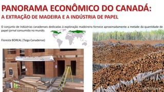 Apresentação elaborada pela Professora FERNANDA BRUM LOPES - Geografia
O conjunto de indústrias canadenses dedicadas à exploração madeireira fornece aproximadamente a metade da quantidade de
papel-jornal consumida no mundo.
Floresta BOREAL (Taiga Canadense)
 