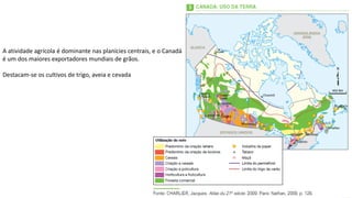 Apresentação elaborada pela Professora FERNANDA BRUM LOPES - Geografia
A atividade agrícola é dominante nas planícies centrais, e o Canadá
é um dos maiores exportadores mundiais de grãos.
Destacam-se os cultivos de trigo, aveia e cevada
 