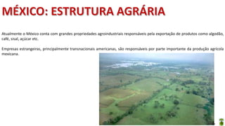Apresentação elaborada pela Professora FERNANDA BRUM LOPES - Geografia
Atualmente o México conta com grandes propriedades agroindustriais responsáveis pela exportação de produtos como algodão,
café, sisal, açúcar etc.
Empresas estrangeiras, principalmente transnacionais americanas, são responsáveis por parte importante da produção agrícola
mexicana.
 