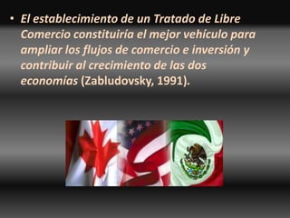 El establecimiento de un Tratado de Libre Comercio constituiría el mejor vehículo para ampliar los flujos de comercio e inversión y contribuir al crecimiento de las dos economías (Zabludovsky, 1991).