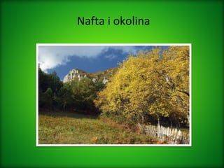 Nafta i okolina
 