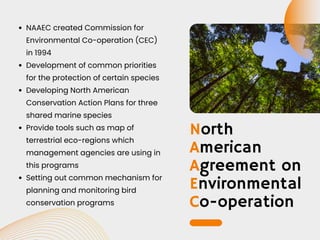 North
American
Agreement on
Environmental
Co-operation
NAAEC created Commission for
Environmental Co-operation (CEC)
in 1994
Development of common priorities
for the protection of certain species
Developing North American
Conservation Action Plans for three
shared marine species
Provide tools such as map of
terrestrial eco-regions which
management agencies are using in
this programs
Setting out common mechanism for
planning and monitoring bird
conservation programs
 