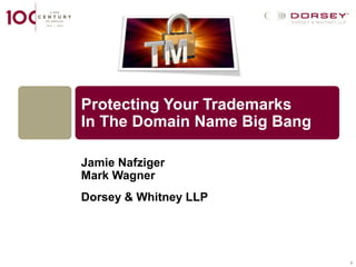 Protecting Your Trademarks
In The Domain Name Big Bang

Jamie Nafziger
Mark Wagner
Dorsey & Whitney LLP




                              1
 