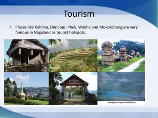 Tourism
• Places like Kohima, Dimapur, Phek, Wokha and Mokokchung are very
famous in Nagaland as tourist hotspots.
 