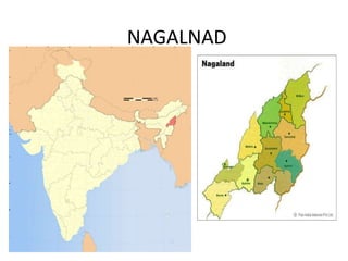 NAGALNAD
 
