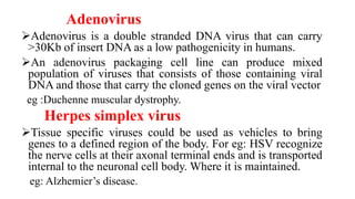 Adenovirus
Adenovirus is a double stranded DNA virus that can carry
>30Kb of insert DNA as a low pathogenicity in humans.
An adenovirus packaging cell line can produce mixed
population of viruses that consists of those containing viral
DNA and those that carry the cloned genes on the viral vector
eg :Duchenne muscular dystrophy.
Herpes simplex virus
Tissue specific viruses could be used as vehicles to bring
genes to a defined region of the body. For eg: HSV recognize
the nerve cells at their axonal terminal ends and is transported
internal to the neuronal cell body. Where it is maintained.
eg: Alzhemier’s disease.
 