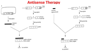 Antisense Therapy
 