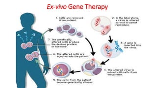 Ex-vivo Gene Therapy
 