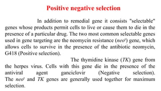 Positive negative selection
In addition to remedial gene it consists "selectable"
genes whose products permit cells to live or cause them to die in the
presence of a particular drug. The two most common selectable genes
used in gene targeting are the neomycin resistance (neor) gene, which
allows cells to survive in the presence of the antibiotic neomycin,
G418 (Positive selection).
The thymidine kinase (TK) gene from
the herpes virus. Cells with this gene die in the presence of the
antiviral agent ganciclovir (Negative selection).
The neor and TK genes are generally used together for maximum
selection.
 