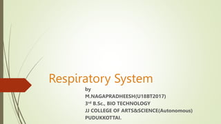 Respiratory System
by
M.NAGAPRADHEESH(U18BT2017)
3rd B.Sc., BIO TECHNOLOGY
JJ COLLEGE OF ARTS&SCIENCE(Autonomous)
PUDUKKOTTAI.
 