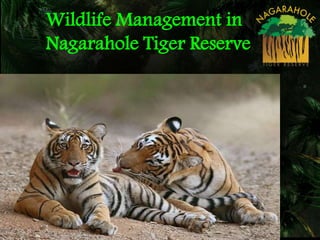 Wildlife Management in
Nagarahole Tiger Reserve
 