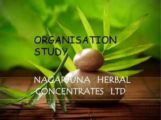 NAGARJUNA HERBAL
CONCENTRATES LTD
ORGANISATION
STUDY
 
