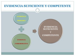 NAGAS - Evidencia Suficiente y Competente - CURNE - UASD.ppsx