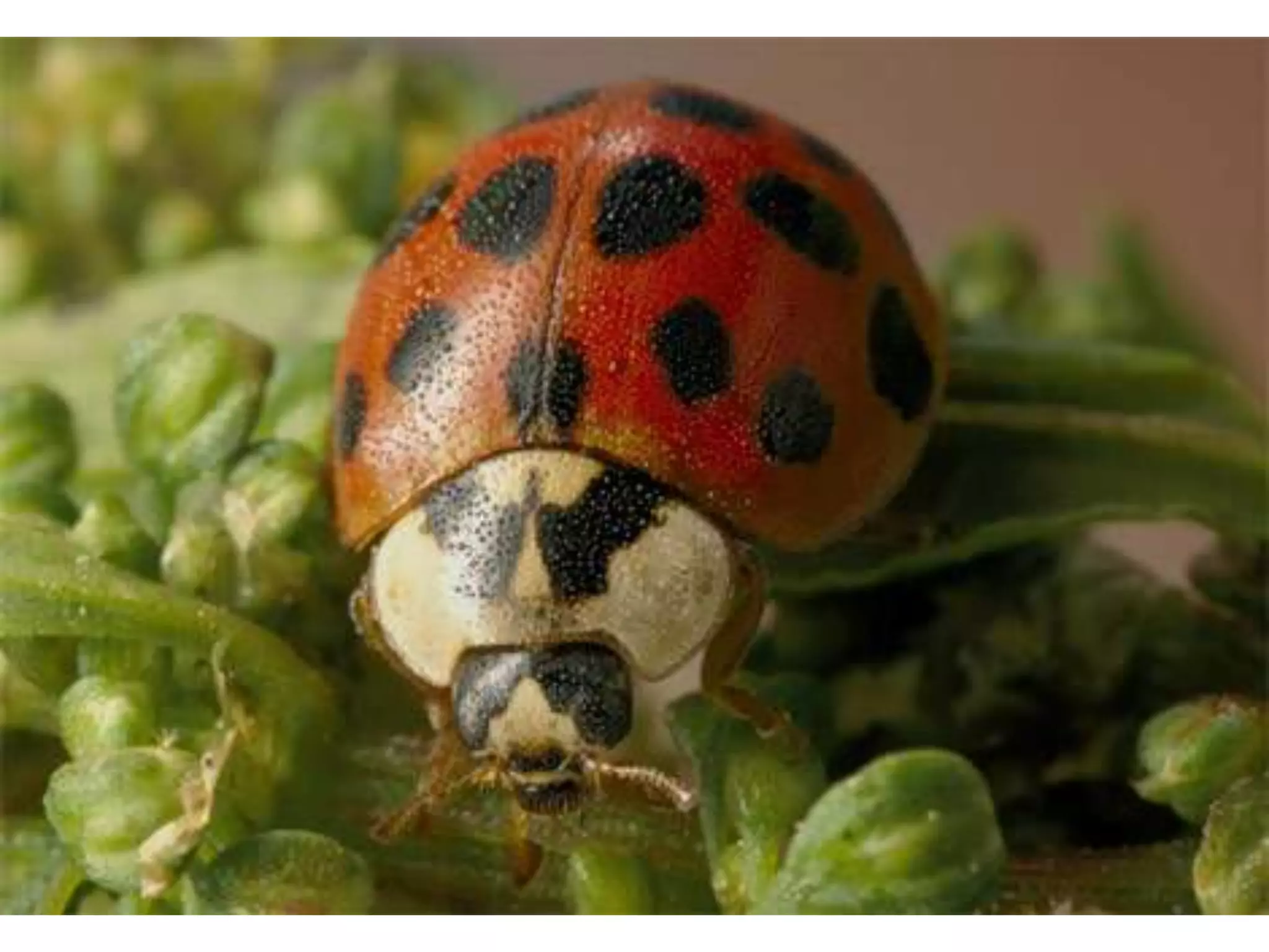 Flickr Writing Promptshttp://www.flickr.com