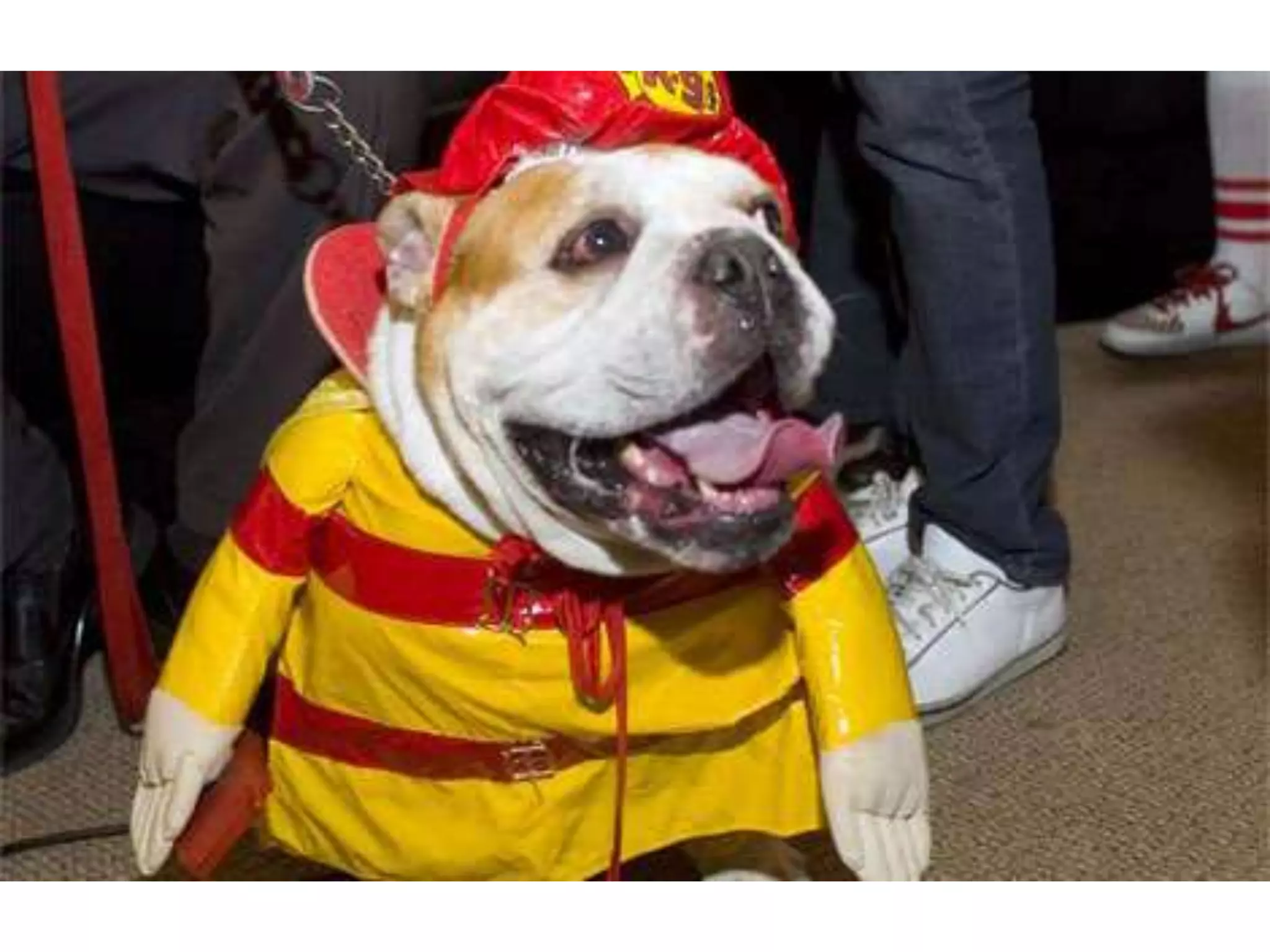 NAGC Wednesday Academy 2009