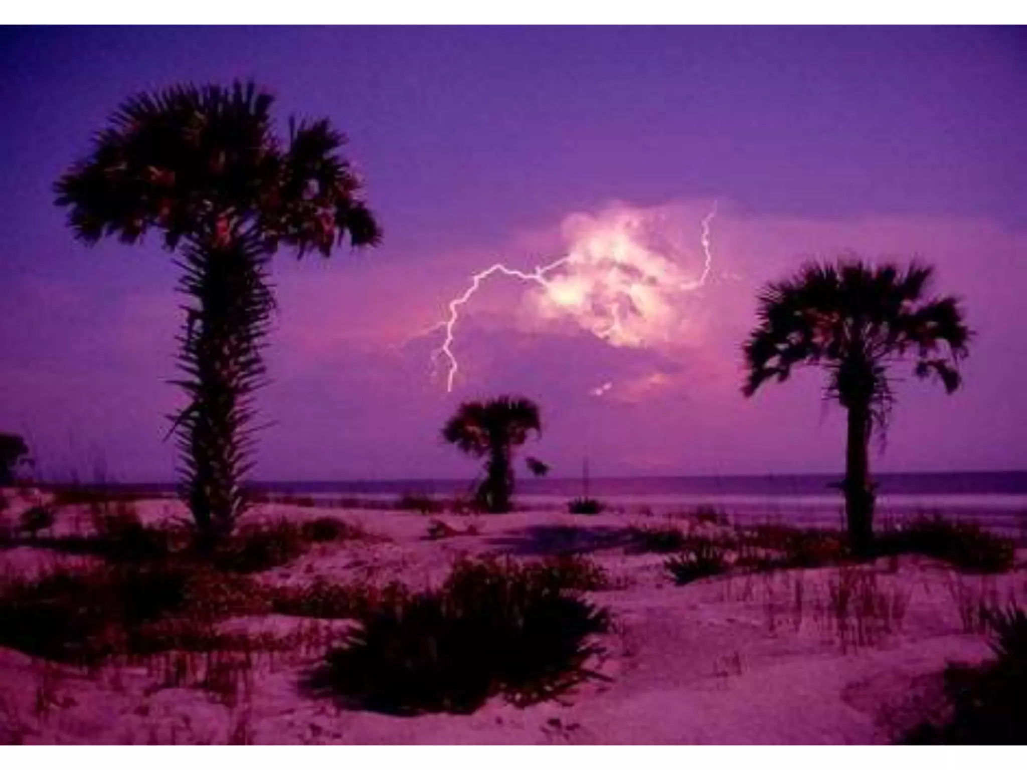 NAGC Wednesday Academy 2009