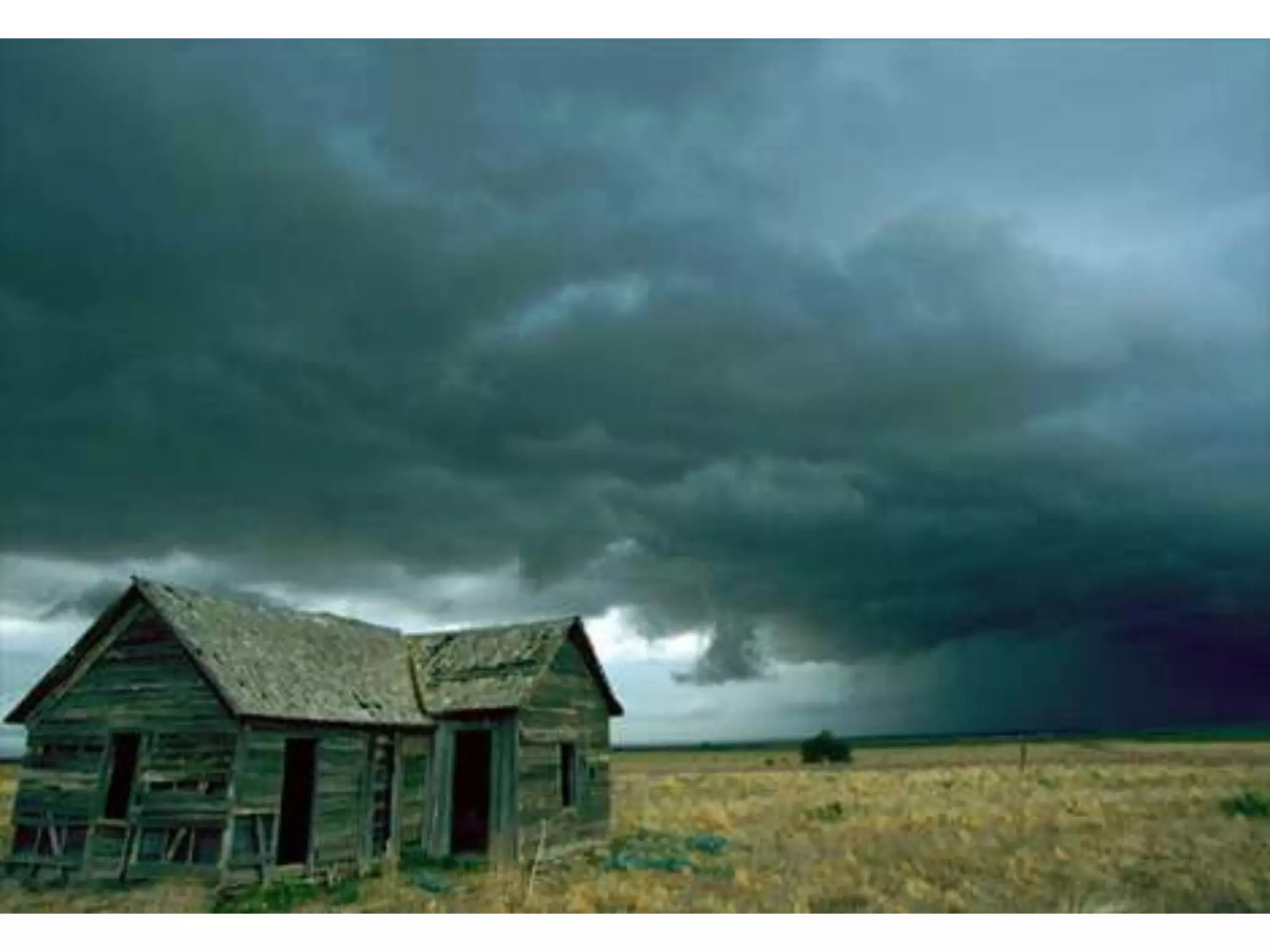 NAGC Wednesday Academy 2009